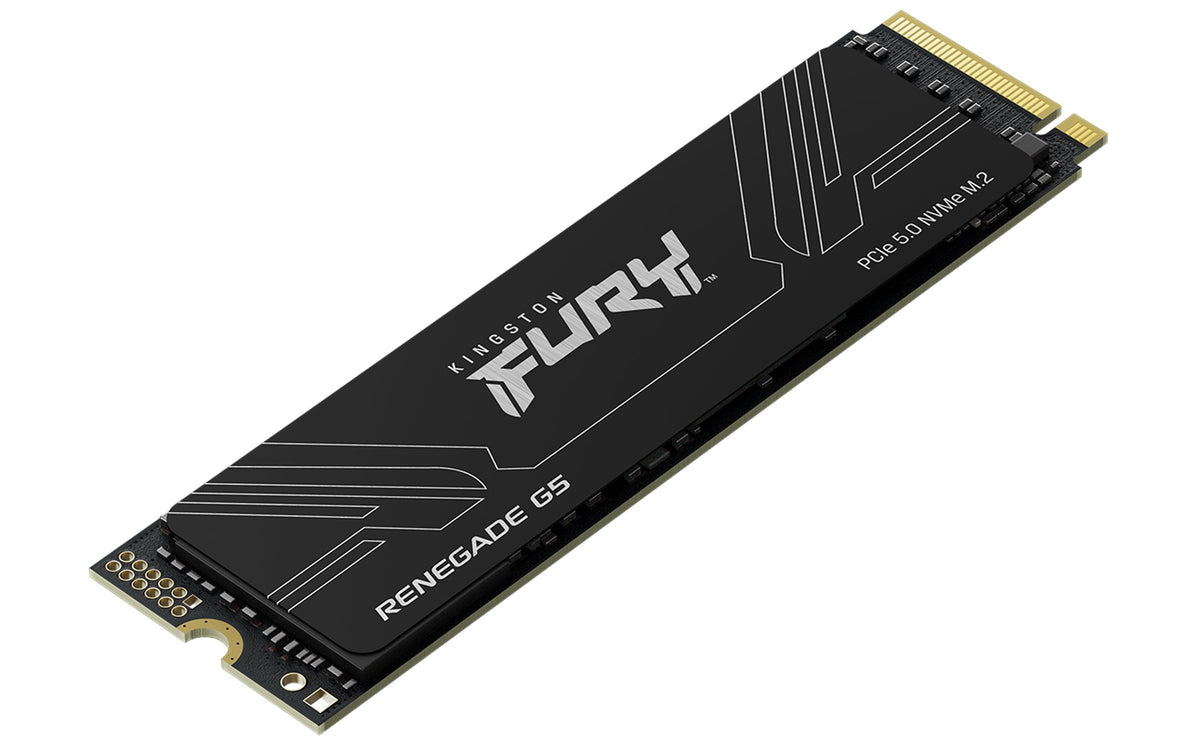 4096GB NVMe PCIe 5.0 M.2 2280 SSD D787