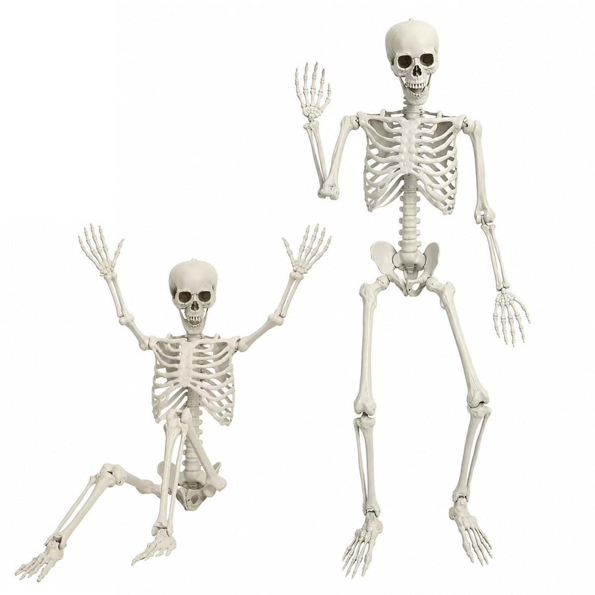 5.4 FT Poseable Skeleton O86346
