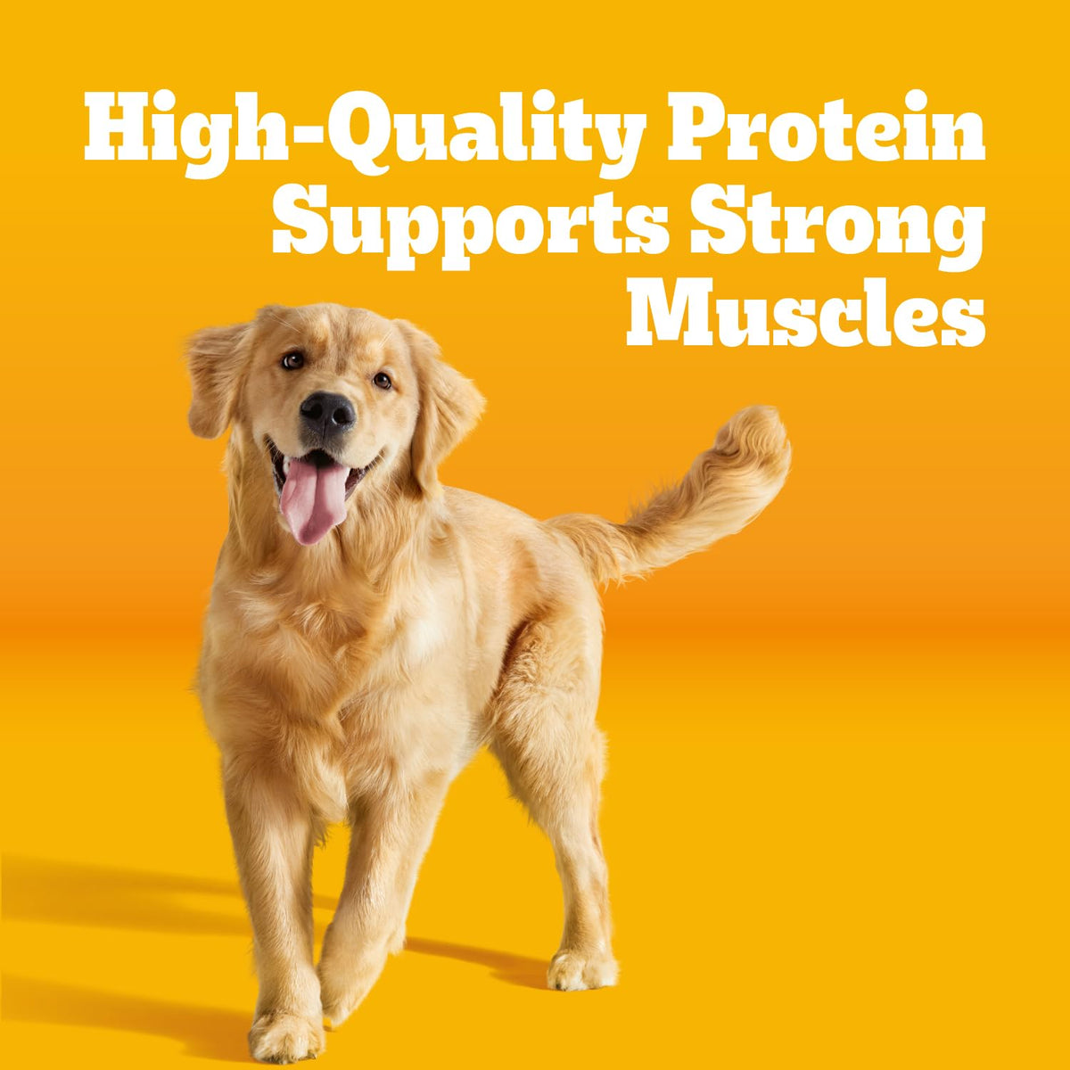 Adult Complete Nutrition Dry Dog Food Steak & Vegetable 18 lb R3952