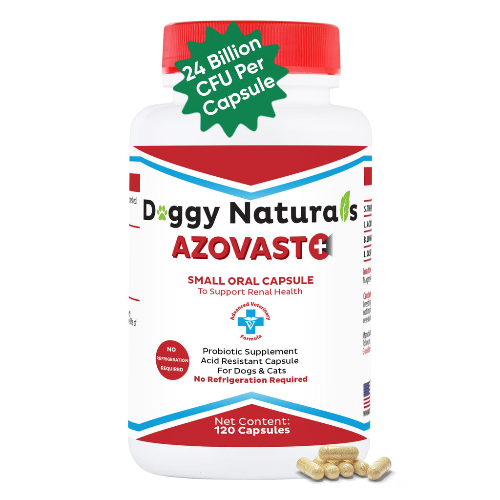 Kidney Probiotic Supplement for Dogs Cats 24 Billion CFU 120 Caps E83849