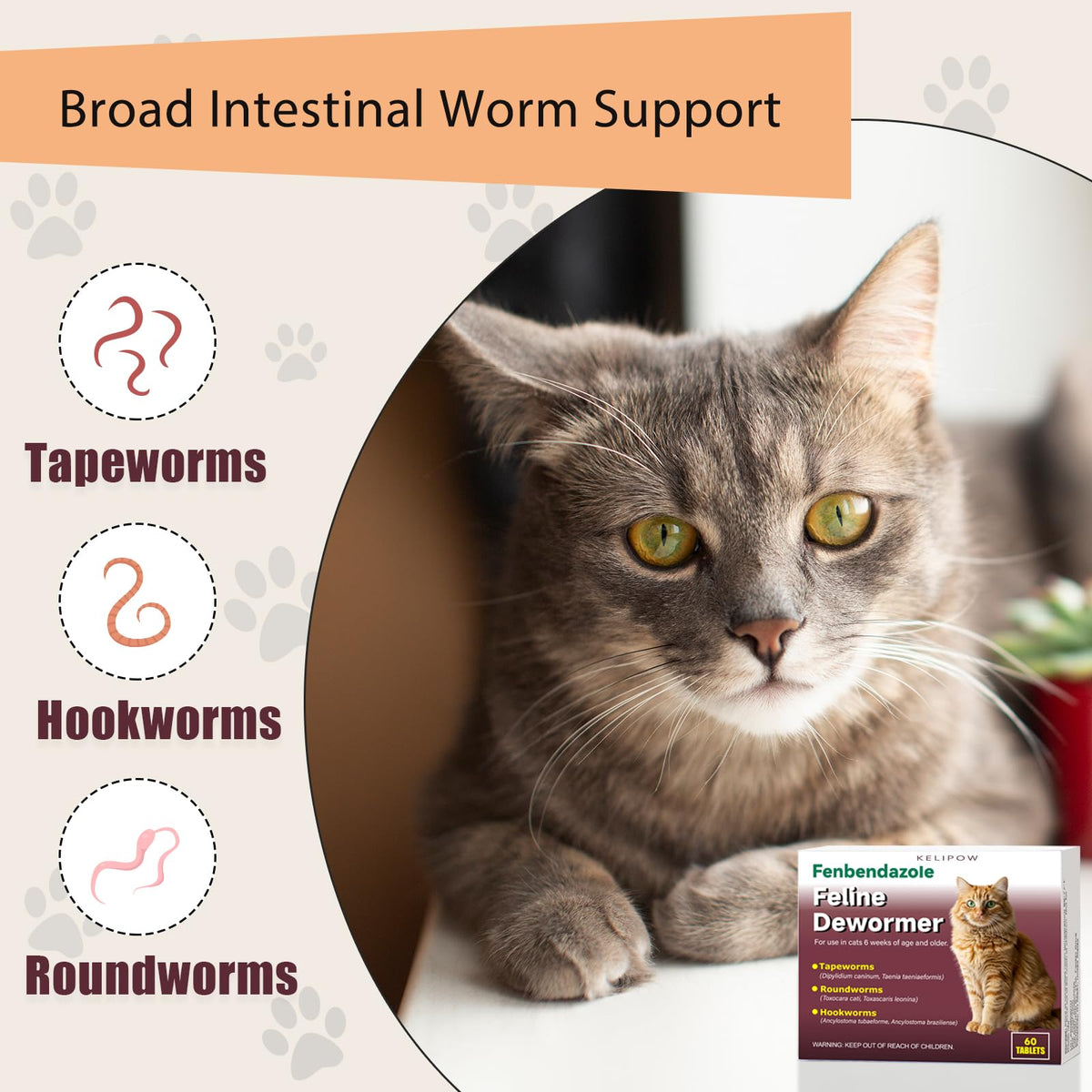 Broad Spectrum Cat & Kitten Dewormer C556985