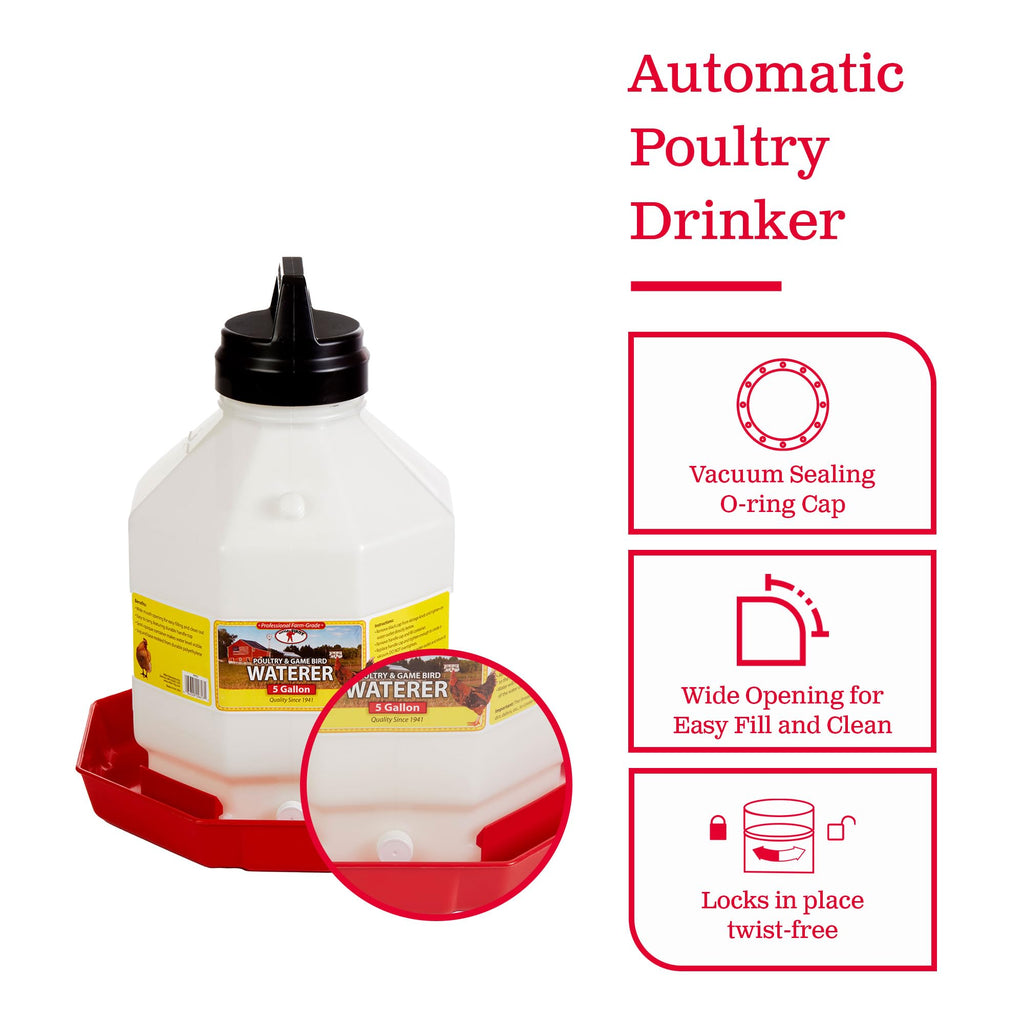 Plastic Poultry Waterer S367879