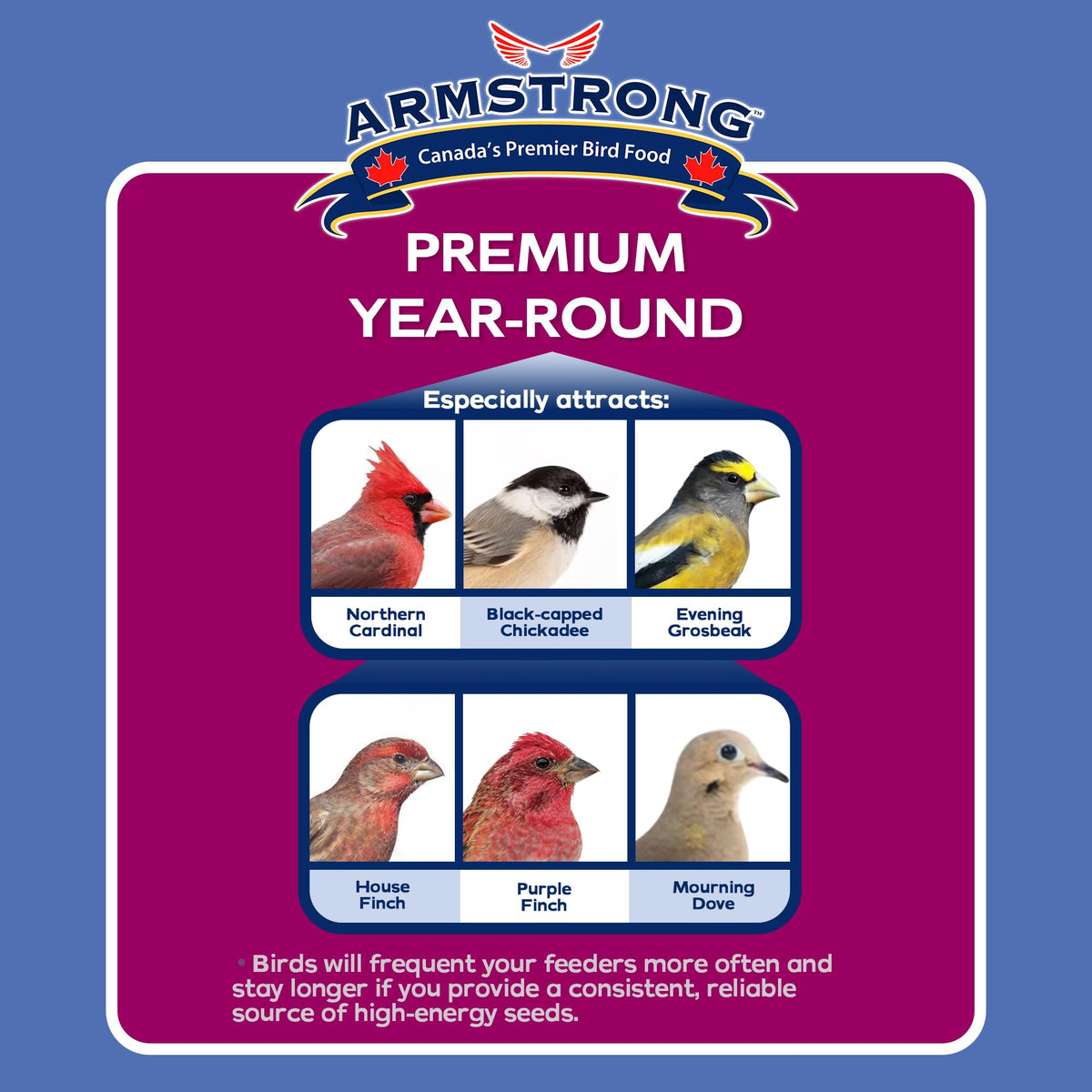 Wild Bird Food 20lb Z4367