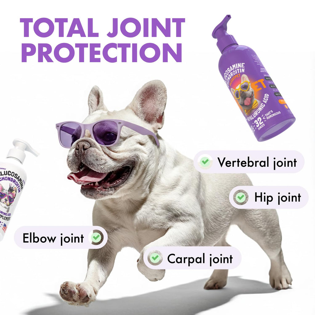 Liquid Glucosamine Chondroitin MSM Hyaluronic Acid Bacon Flavor Dog Supplement 32 oz Y42953