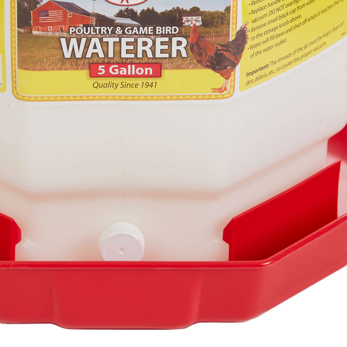 Plastic Poultry Waterer S367879