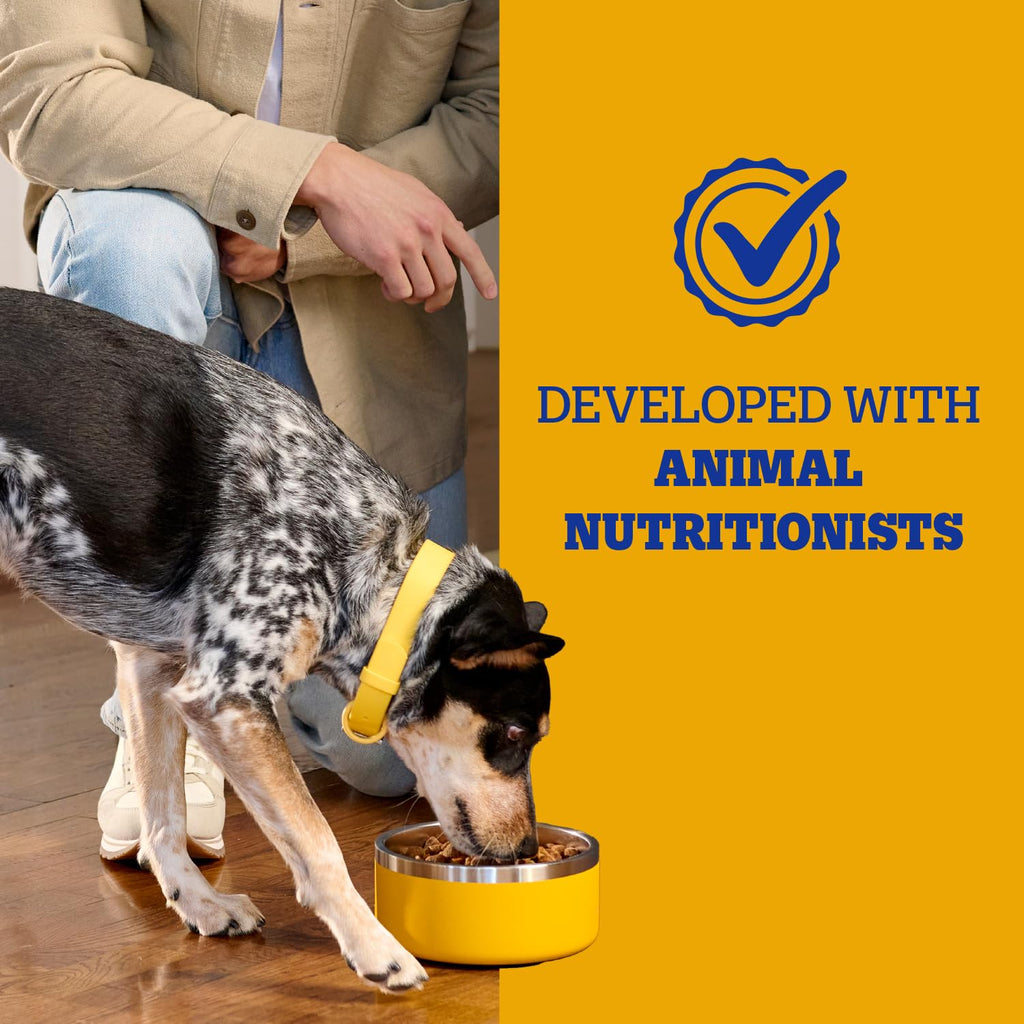 Adult Complete Nutrition Dry Dog Food Steak & Vegetable 18 lb R3952
