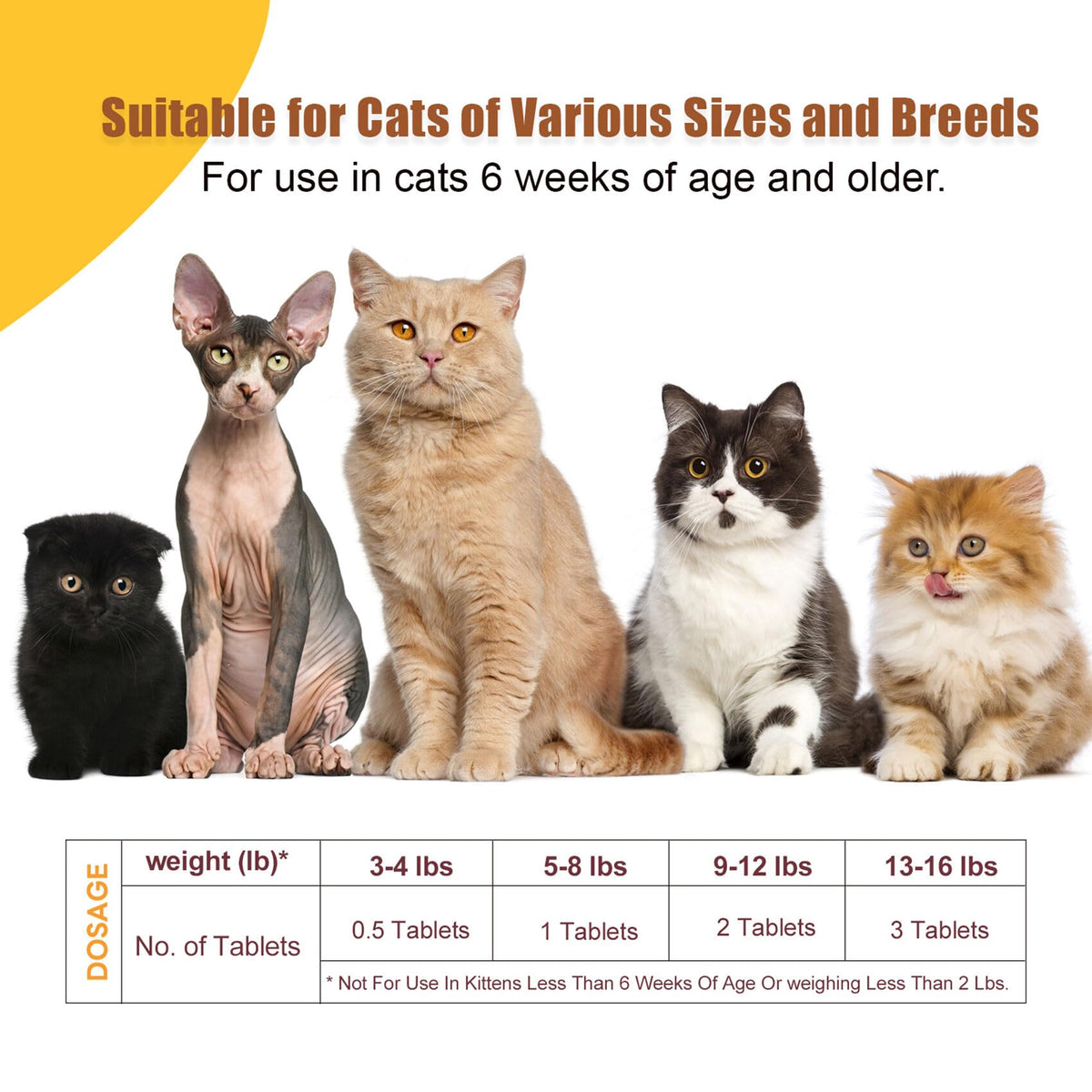 Broad Spectrum Cat & Kitten Dewormer C556985
