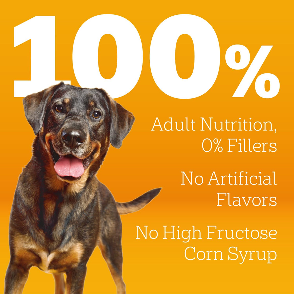 Adult Complete Nutrition Dry Dog Food Steak & Vegetable 18 lb R3952