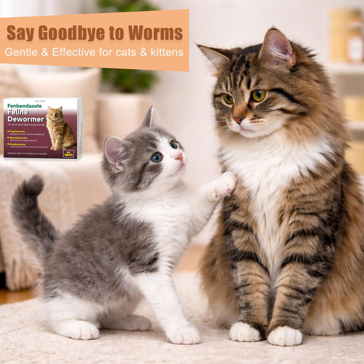 Broad Spectrum Cat & Kitten Dewormer C556985