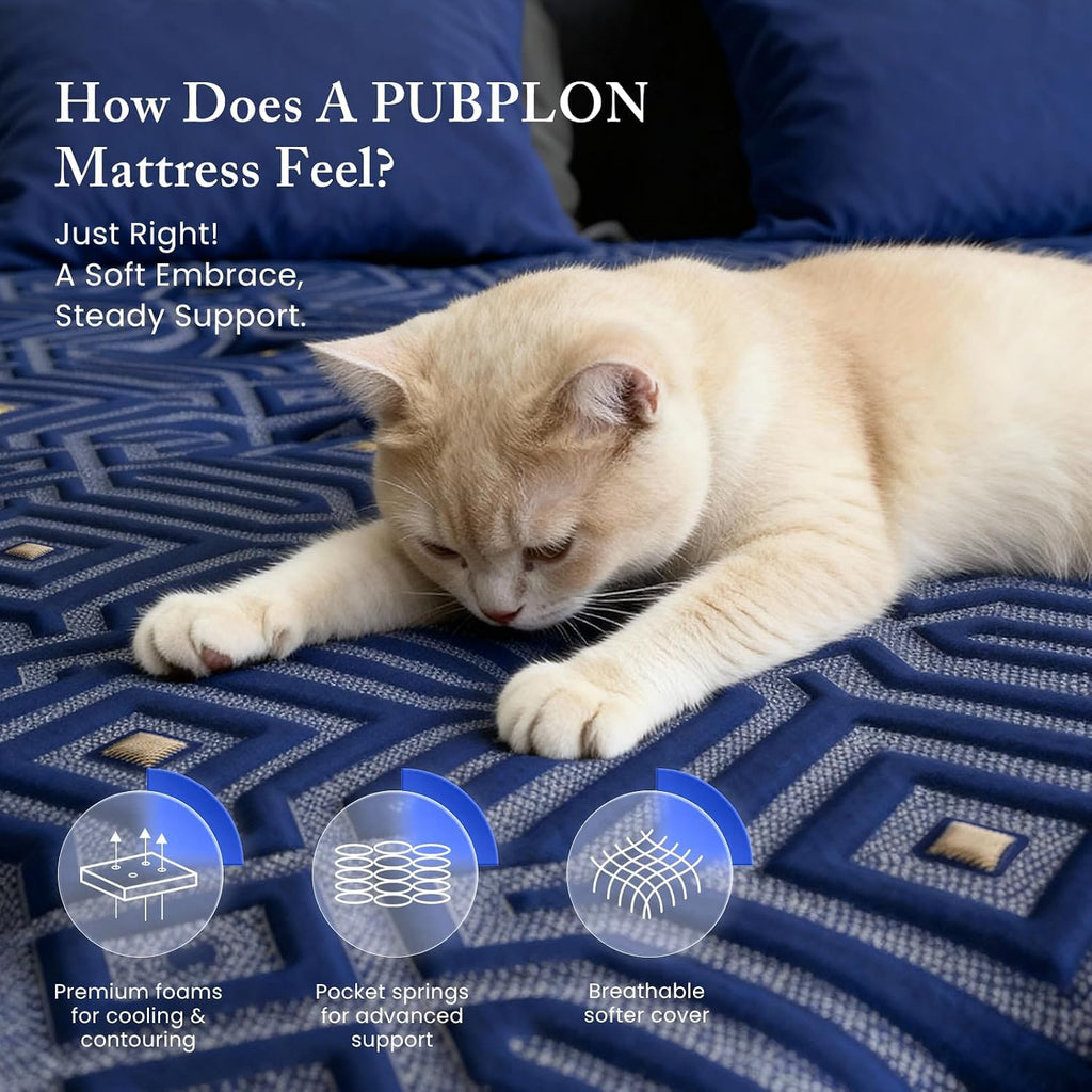Queen 14 Inch Hybrid Gel Memory Foam Mattress in a Box P718