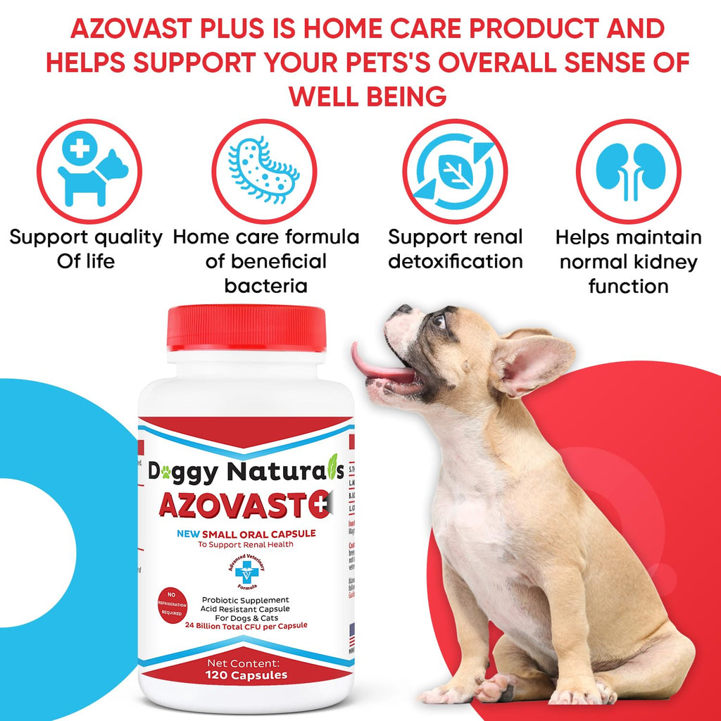 Kidney Probiotic Supplement for Dogs Cats 24 Billion CFU 120 Caps E83849
