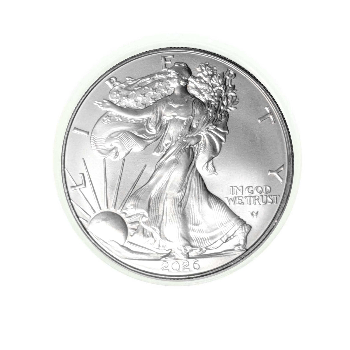1 oz Silver Eagle Uncirculated D5282