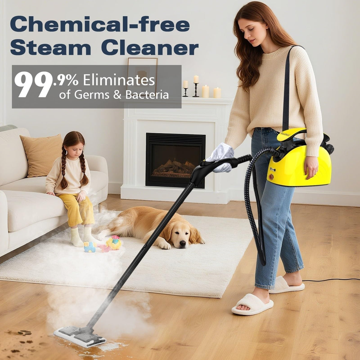 4.5 Bar 300°F Steam Cleaner Q70939