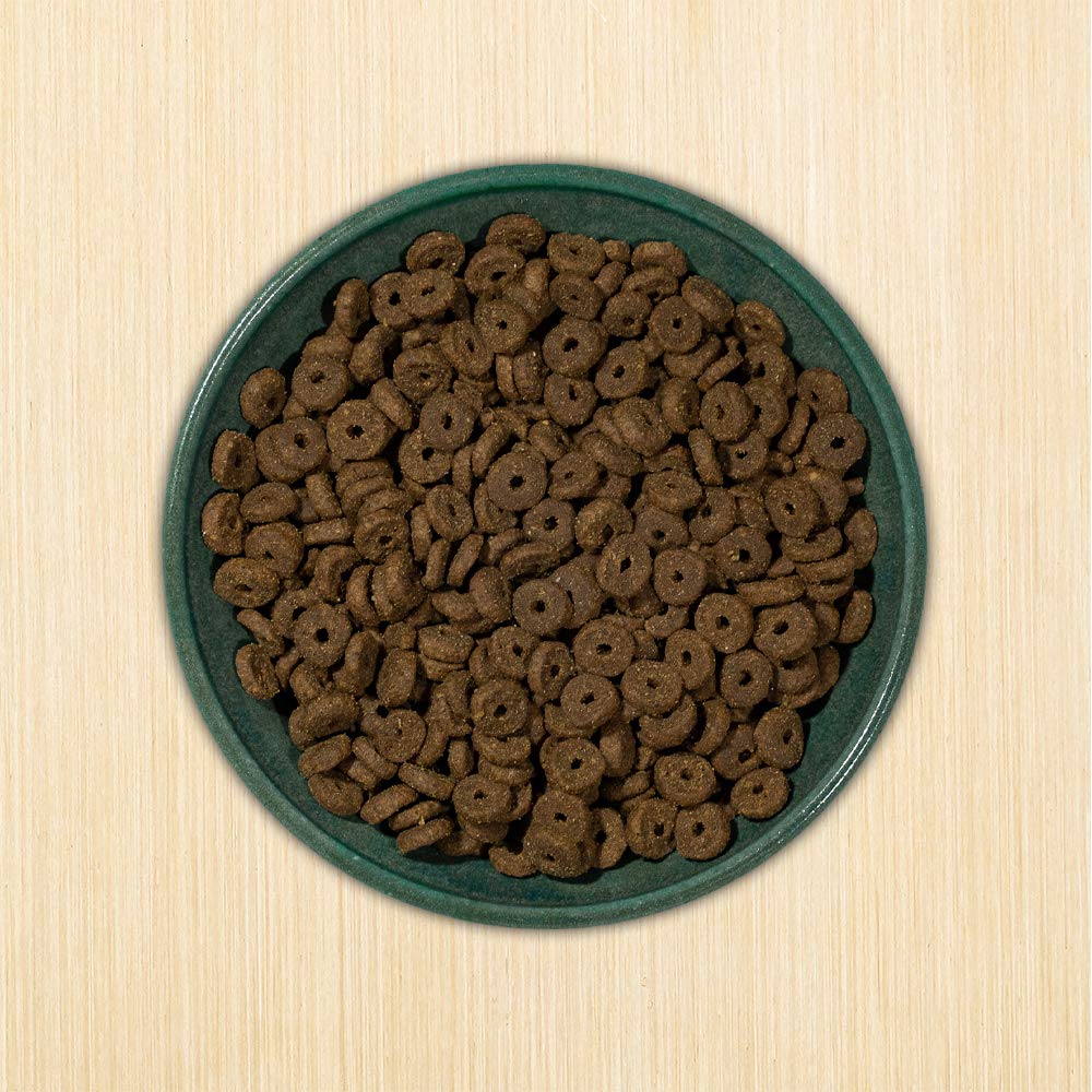 Grain-Free Chicken & Fish Dry Cat Food 12-lb Bag X81836