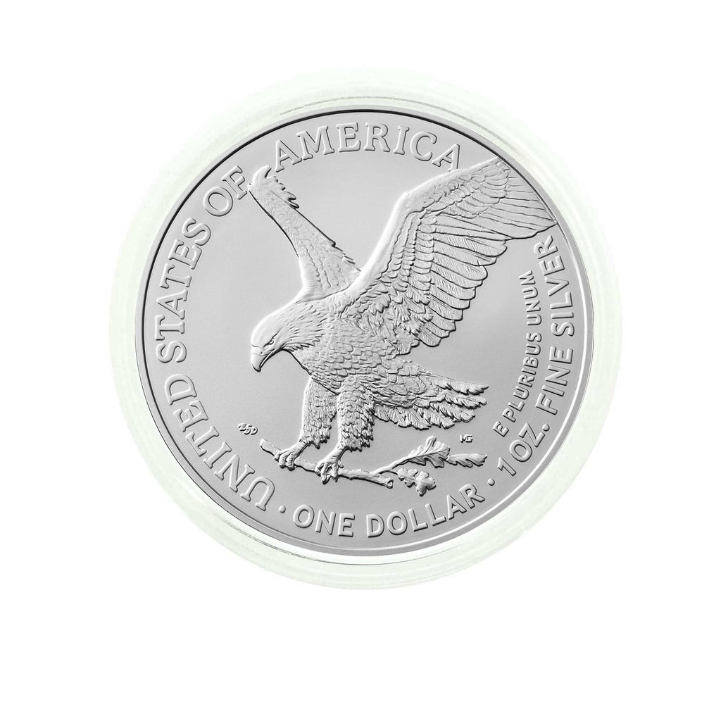 1 oz Silver Eagle Uncirculated D5282