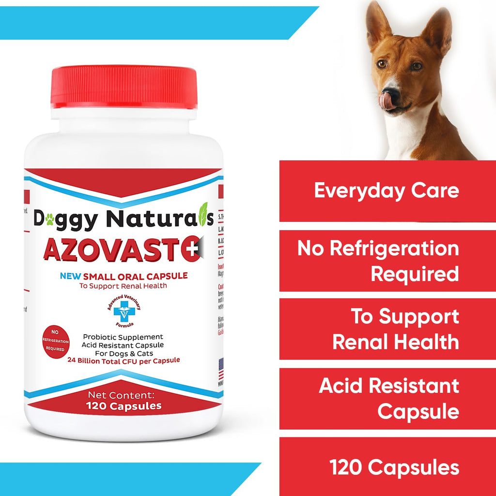 Kidney Probiotic Supplement for Dogs Cats 24 Billion CFU 120 Caps E83849
