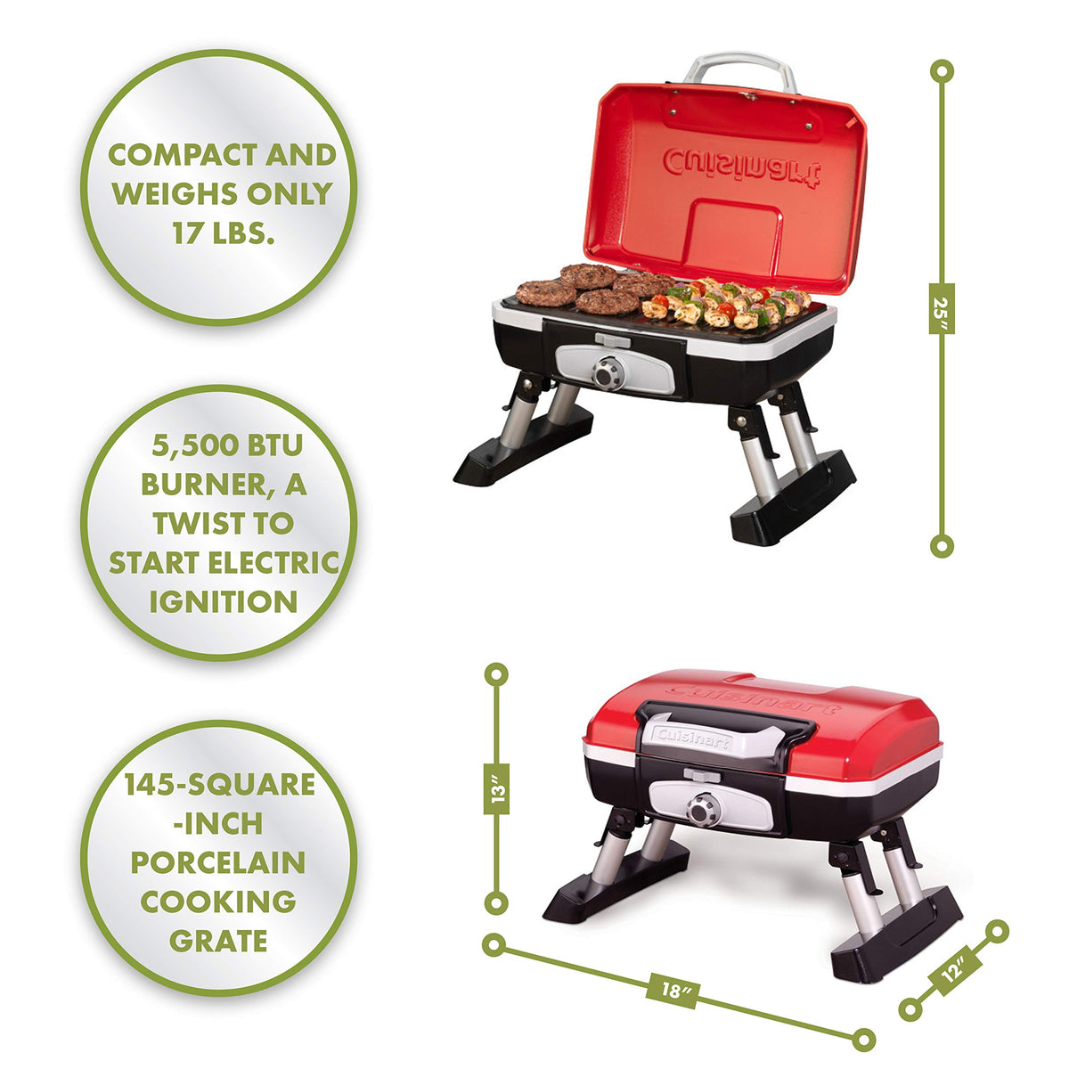 Portable Propane Gas Grill V3312
