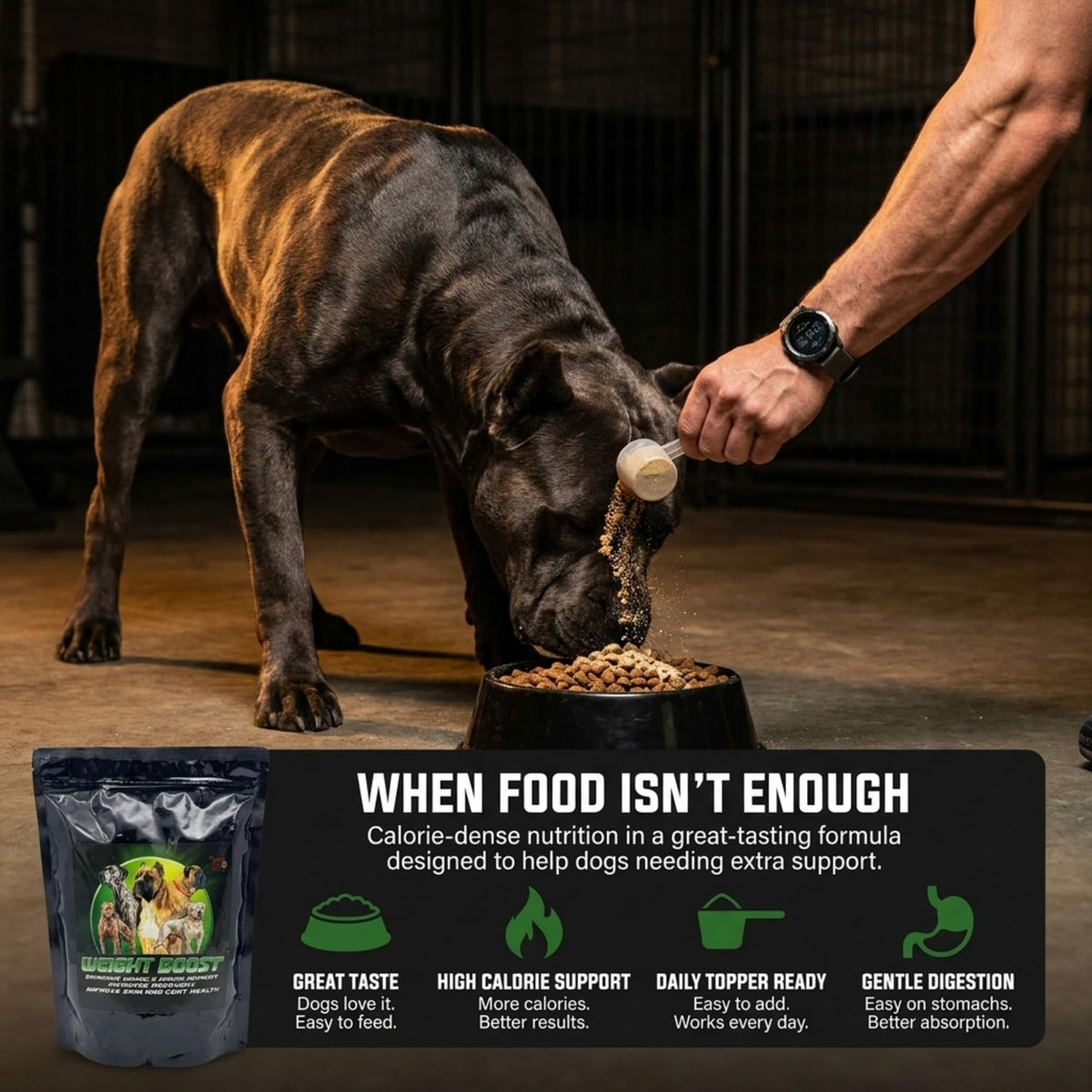 Dog Weight Protein Supplement 2 lb M428