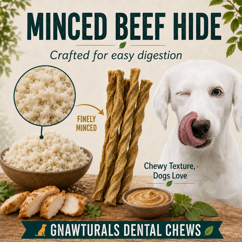 Twisted Sticks Dental Chews for Dogs (5 Sticks, Pumpkin) N48855