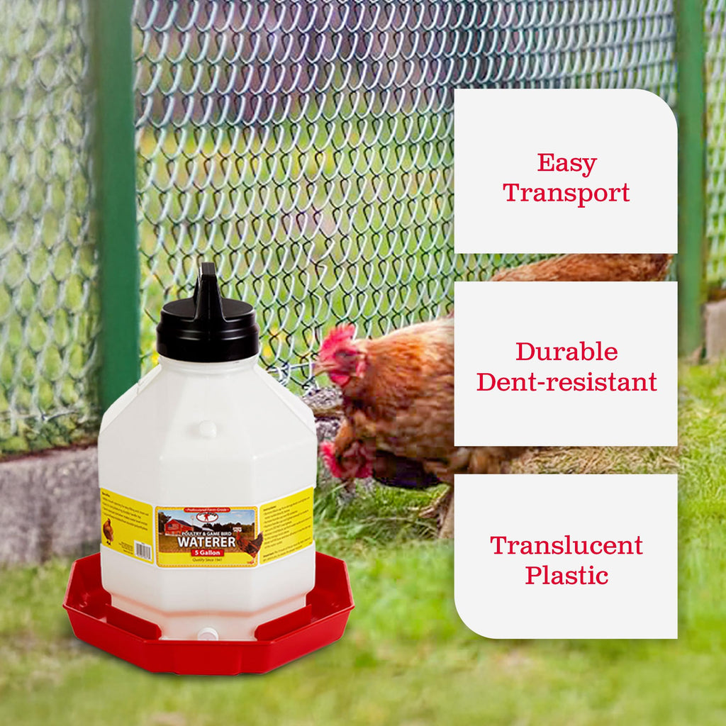 Plastic Poultry Waterer S367879