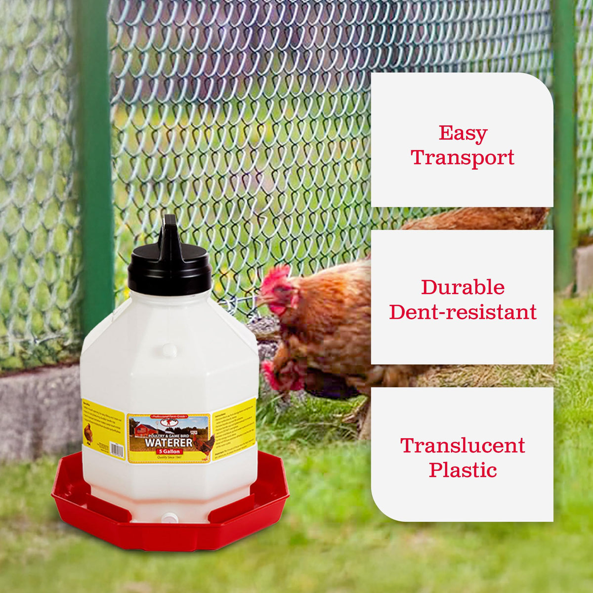 Plastic Poultry Waterer S367879