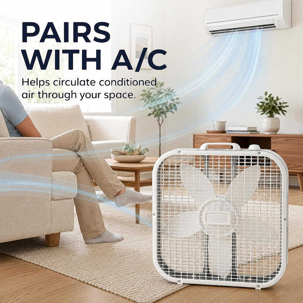 20 Inch 3-Speed White Box Fan B447685
