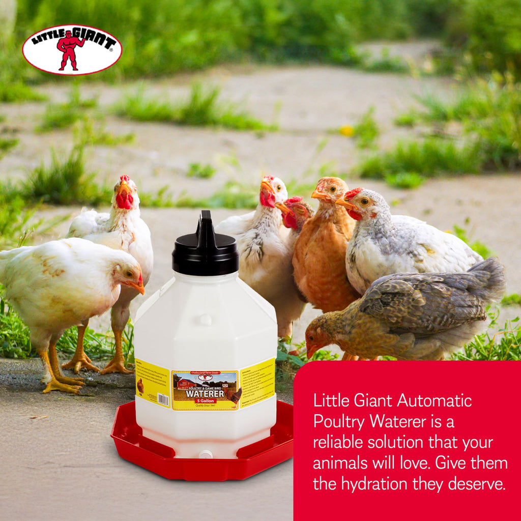 Plastic Poultry Waterer S367879