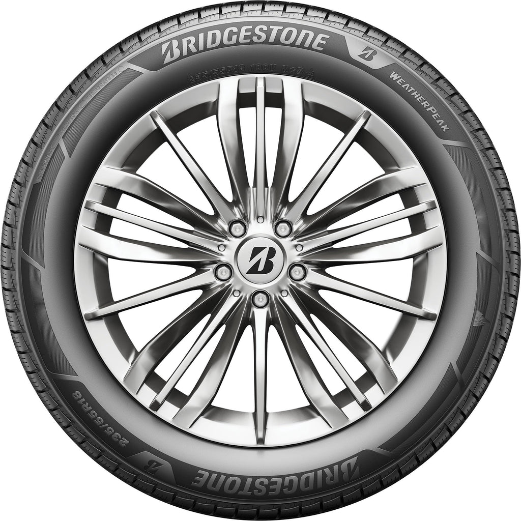 All Weather 265/60R18 110V Passenger Tire W106696
