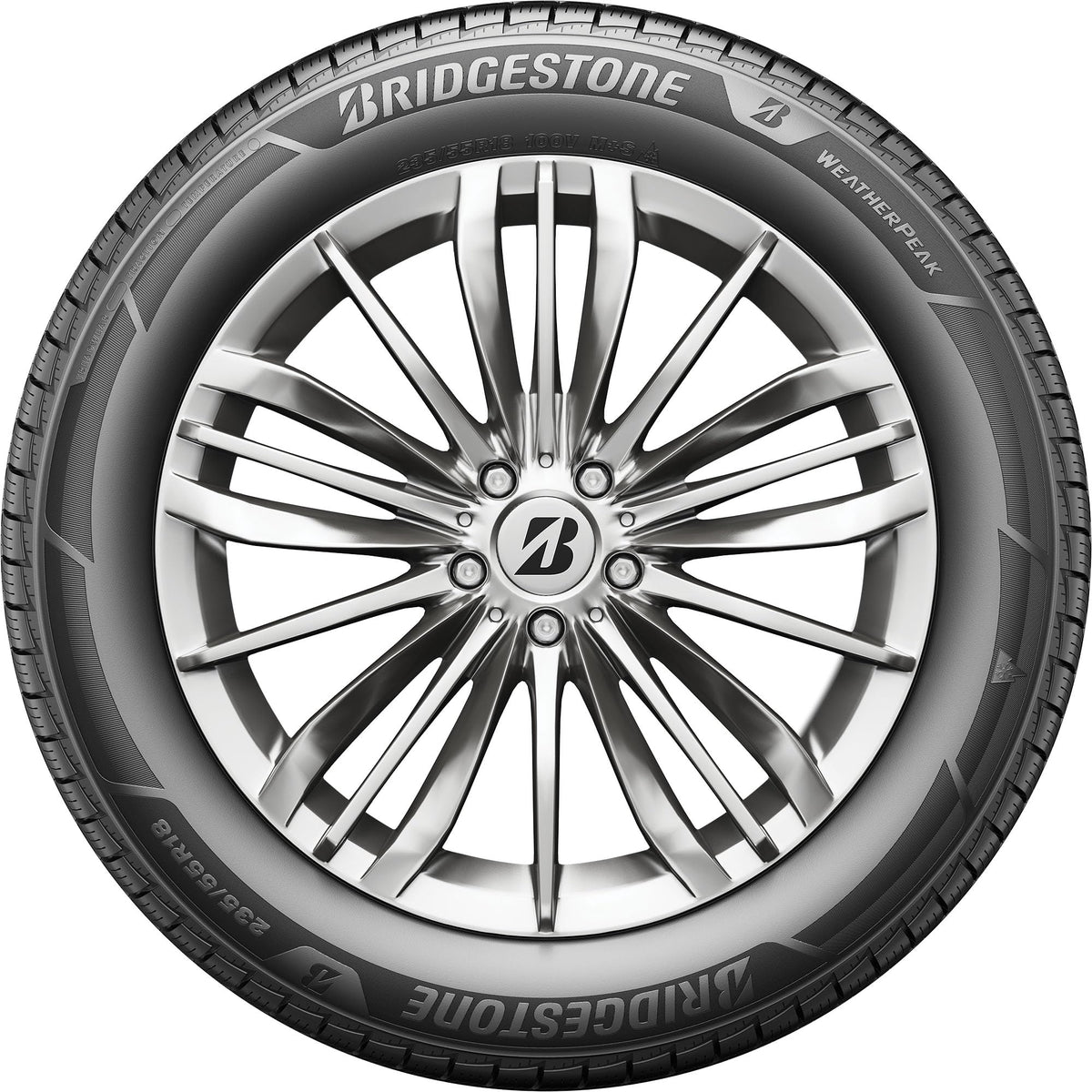 All Weather 265/60R18 110V Passenger Tire W106696