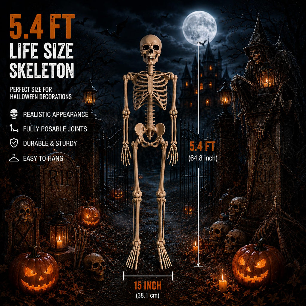 5.4 ft Posable Halloween Skeleton with Movable Joints F573374