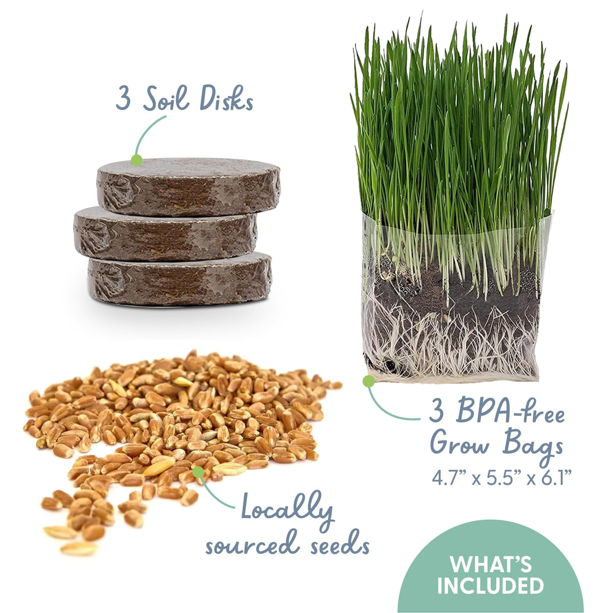 Organic Cat Grass Grow Bag Kit 3 Pack J55736