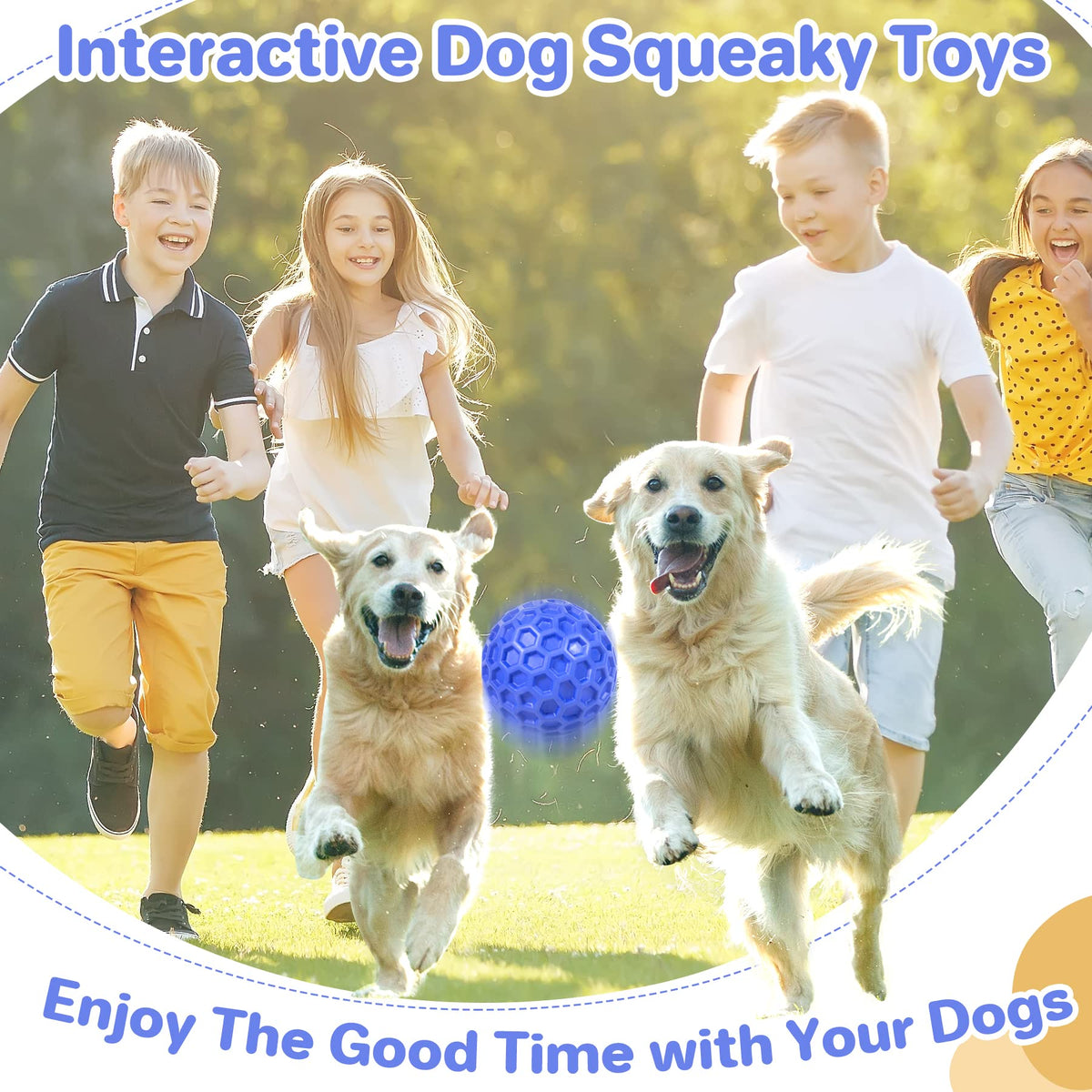 Squeaky Dog Ball Chew Toy X446663