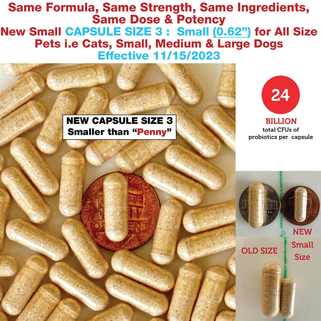 Kidney Probiotic Supplement for Dogs Cats 24 Billion CFU 120 Caps E83849