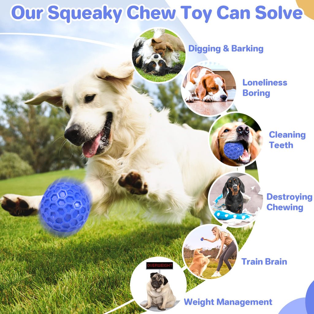 Squeaky Dog Ball Chew Toy X446663