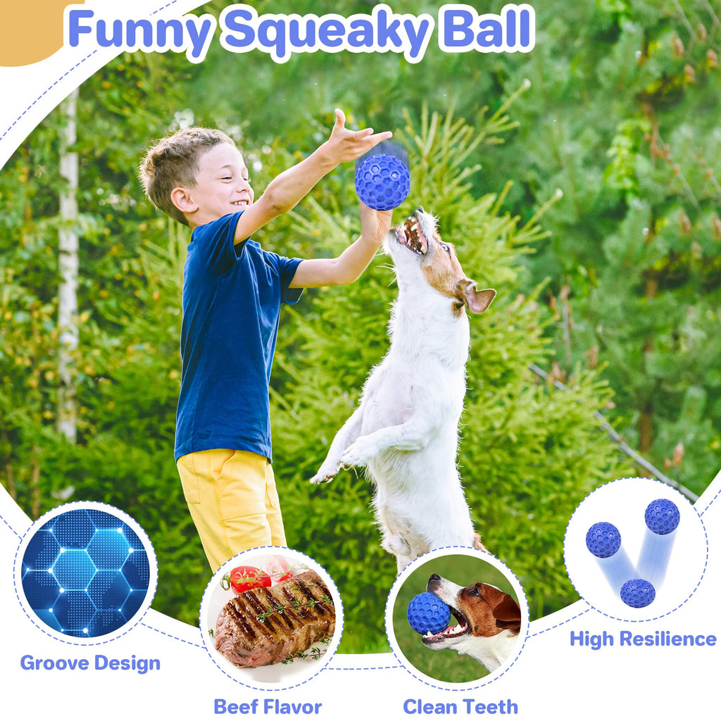 Squeaky Dog Ball Chew Toy X446663