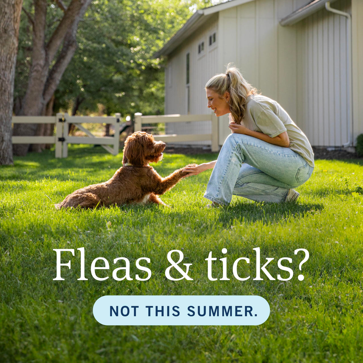 Flea & Tick Topical Dogs 5-22 lbs 3-Month Q9846