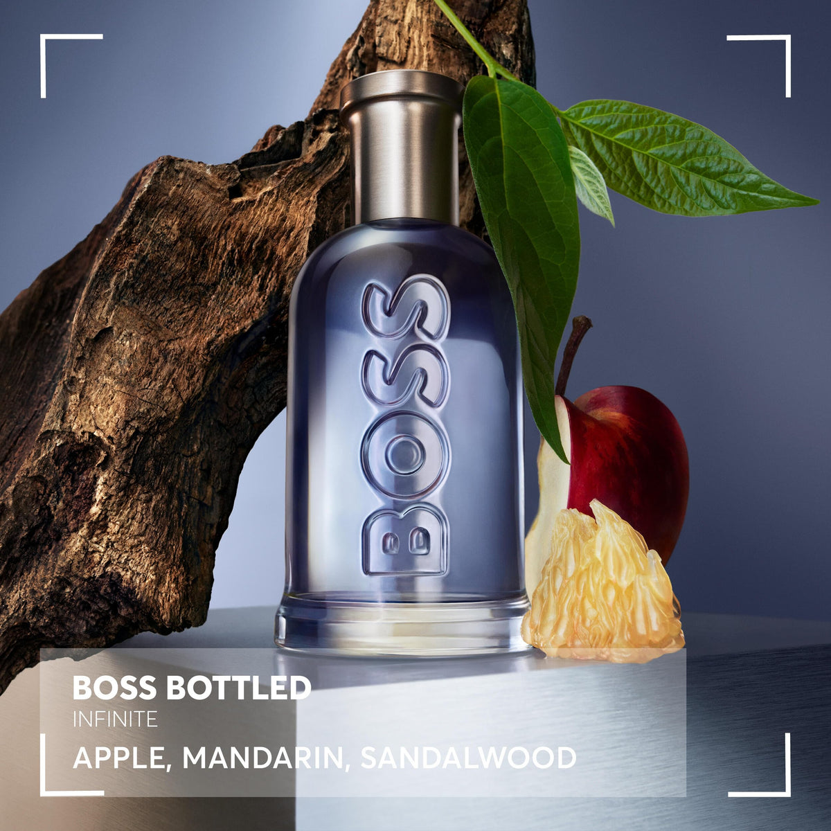 Woody Eau de Parfum H1470