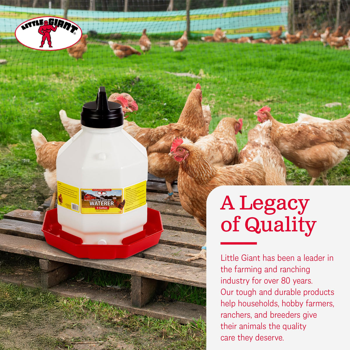Plastic Poultry Waterer S367879