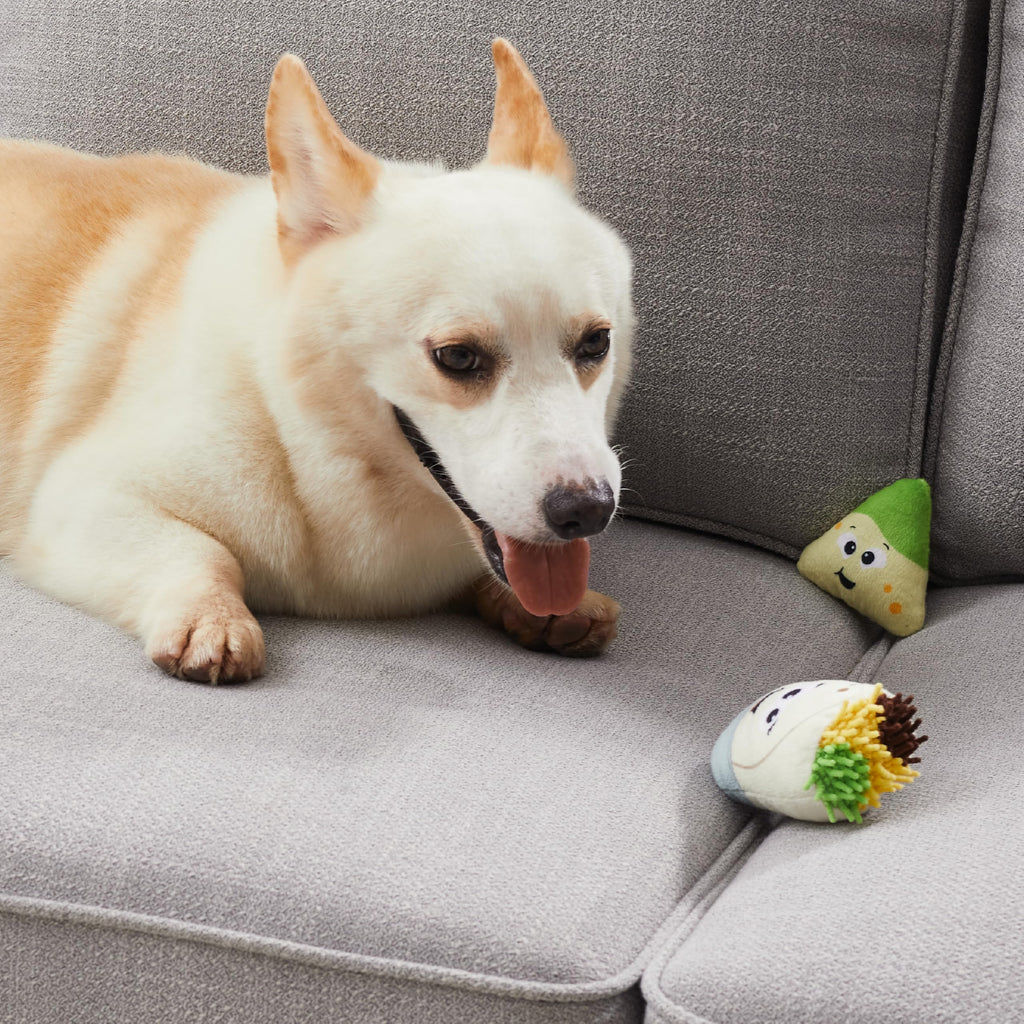 Plush Dog Toy Puzzle Q127128