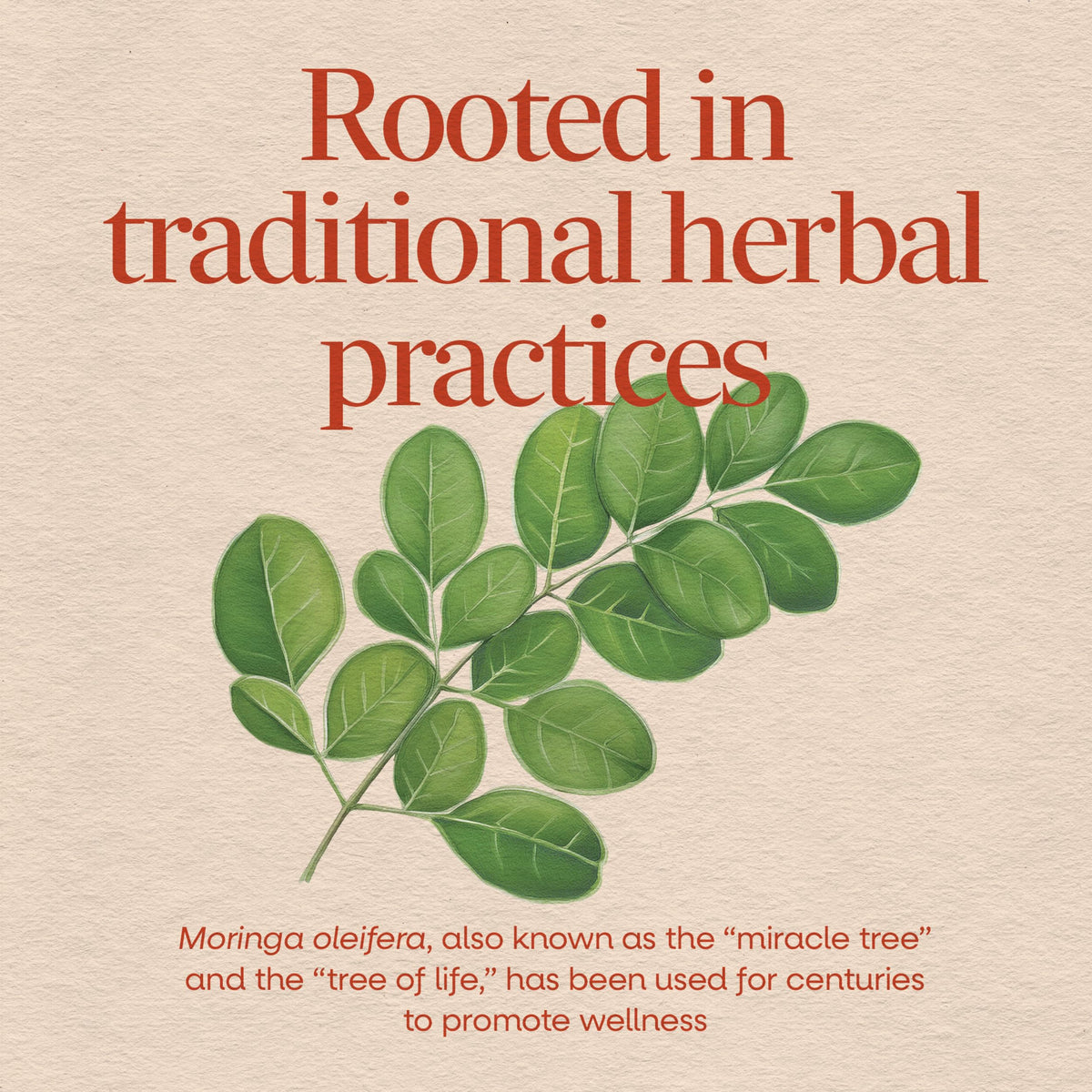 Moringa Leaf 800 mg 120 ct W99263