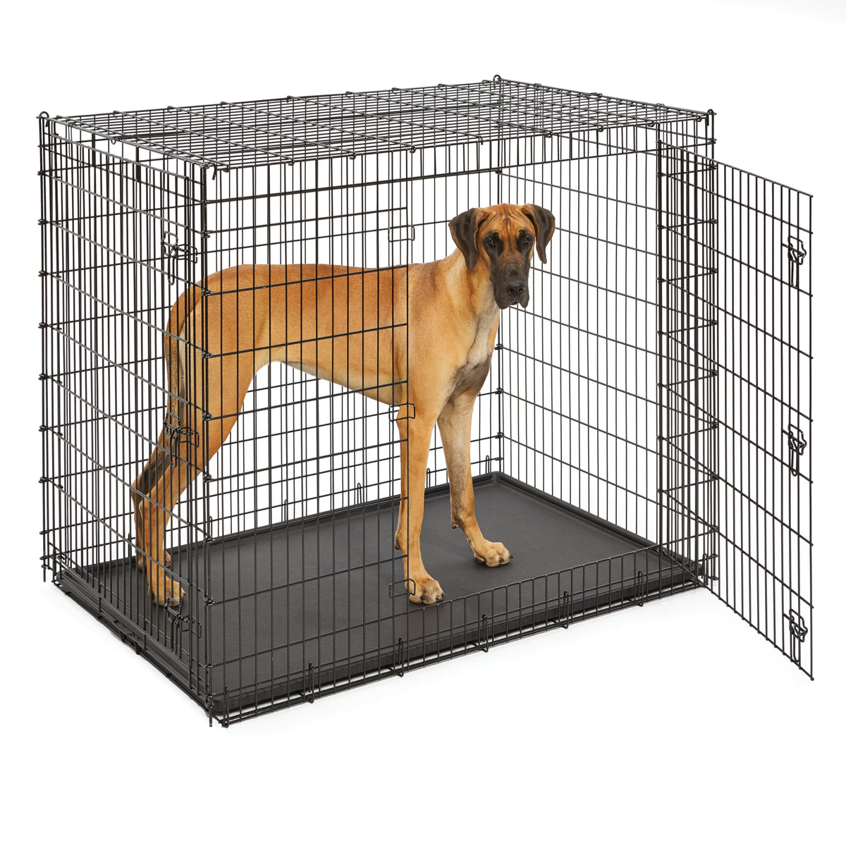 54-Inch Double Door Crate X243586
