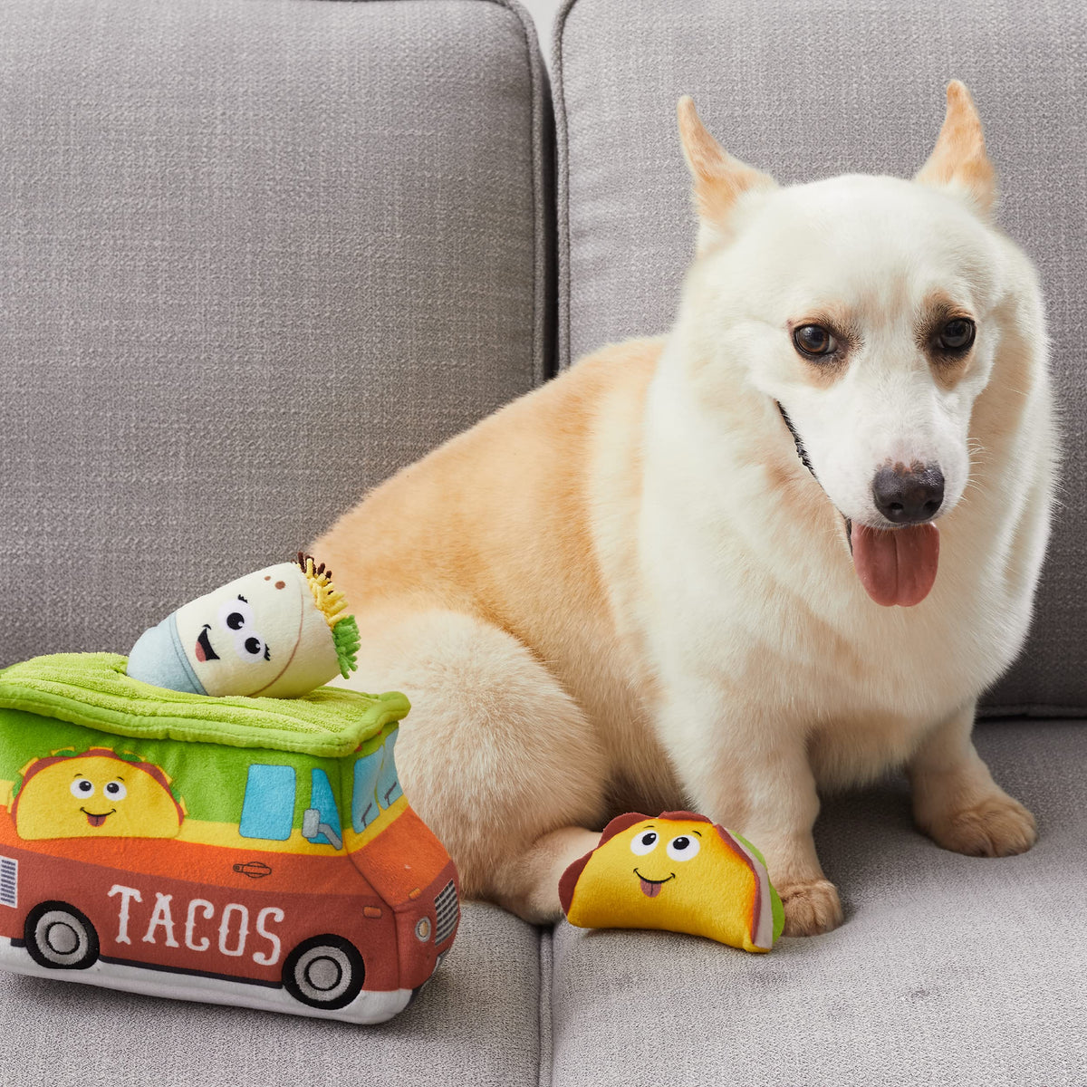 Plush Dog Toy Puzzle Q127128